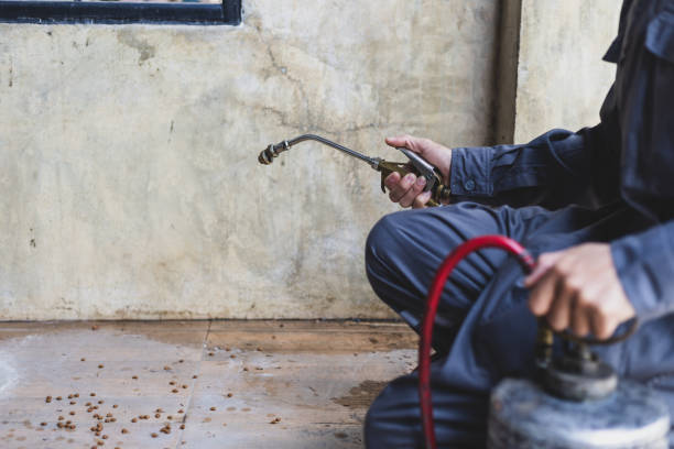 Pest Prevention Services in Glenn Dale, MD
